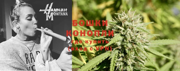 хмурый Горняк