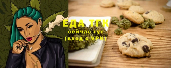 хмурый Горняк