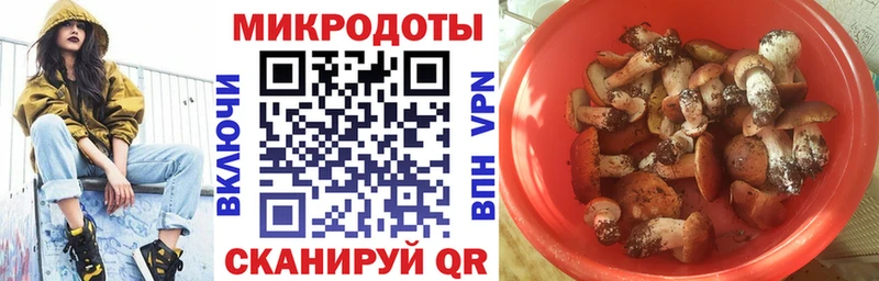 Купить закладки  Печоры  Псилоцибиновые грибы Psilocybe 